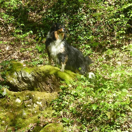 Mas Dauphinois Barraux